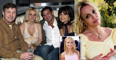Britney Spears' family say they fear she is on METH - www.msn.com - Britain