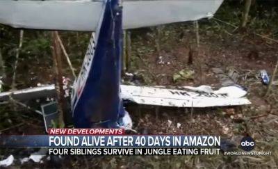 Four Missing Children Found Alive 40 Days After Plane Crash In The Amazon! - perezhilton.com - New York - New York - Colombia