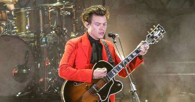 Harry Styles pauses concert to assist fallen fan - www.msn.com - Australia - Ireland