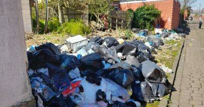 Residents who dumped 200 bin bags full of dirty nappies and garden waste on land near their homes slapped with £400 fines - www.manchestereveningnews.co.uk