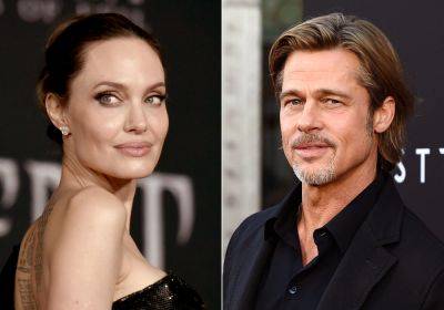 Brad Pitt Alleges ‘Vindictive’ Angelina Jolie ‘Secretly’ Sold Her Share Of French Vineyard To Harm Him - etcanada.com - France - Russia