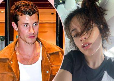 Shawn Mendes & Camila Cabello Have 'Practically Moved In' Together As Rekindled Romance Heats Up! - perezhilton.com - USA - Santa Monica