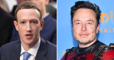 Mark Zuckerberg Says He’s Down for a Cage Match Against Fellow Tech Giant Elon Musk: ‘Send Me Location’ - www.usmagazine.com - South Africa - Romania