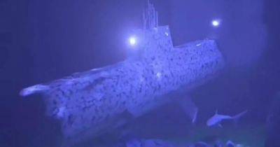 What happened to Titanic submarine when it imploded as five passengers confirmed dead - www.dailyrecord.co.uk - Beyond