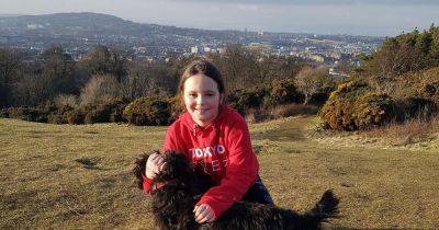 Family heartbroken after two dogs 'poisoned' while on walk at reservoir - www.dailyrecord.co.uk - Scotland