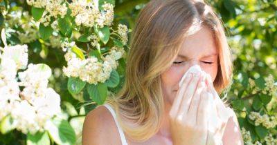 'Lifesaver' hay fever hack to help trap pollen and alleviate symptoms - www.dailyrecord.co.uk - Scotland - Beyond