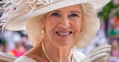 Camilla is 'awkward' around small children but one royal grandkid helps her 'relax' - www.dailyrecord.co.uk - USA - Charlotte