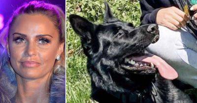 Katie Price dog: TV star announces death of 'best friend' Blade - what did she say on Instagram? - www.msn.com