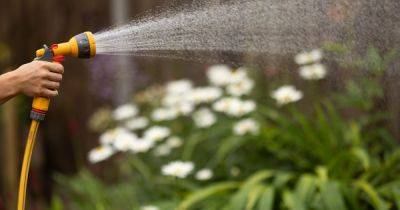 Warning over 'deadly' health condition that thrives in garden equipment and hot tubs - www.dailyrecord.co.uk - Britain