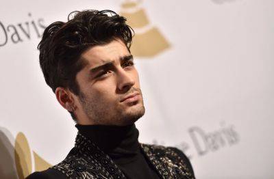 Zayn Malik Recalls ‘Sad’ Story About One Of His Former Pet Chickens: ‘She Died In My Arms’ - etcanada.com - Pennsylvania