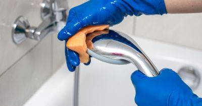 Banish limescale from shower and toilet with 29p hack shared by expert - www.dailyrecord.co.uk - Beyond