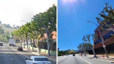 LA City Controller Investigating NBCU for Trimming Trees Near SAG-AFTRA/WGA Picket Lines - thewrap.com - Los Angeles