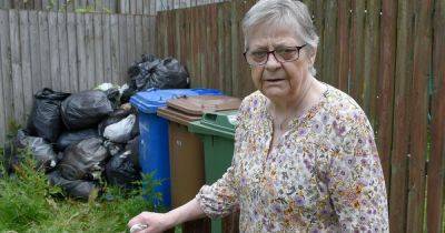Scots gran battles fly swarms and rodent infestation after 40 rotting bin bags dumped outside home - www.dailyrecord.co.uk - Scotland - Beyond