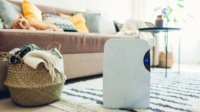 The 12 Best Dehumidifiers for Homes and Dorm Rooms: Shop GE, Frigidaire, Insignia and More - www.etonline.com