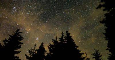 Perseids meteor shower to peak this weekend - how to spot the shooting stars - www.dailyrecord.co.uk