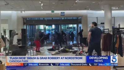 Flash Mob Hits Another High-End Store In L.A. County, Steal Estimated $100K In Merchandise - deadline.com - Los Angeles - Los Angeles - Los Angeles - city Glendale