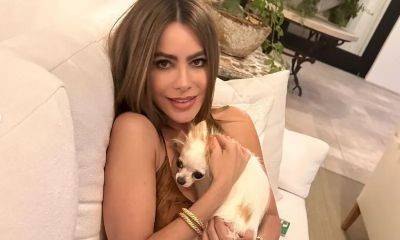 Sofia Vergara poses with new dog after giving full custody of Bubbles to ex Joe Manganiello - us.hola.com - Los Angeles - Colombia
