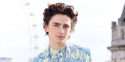 Timothee Chalamet Regretted Not Being Able to Appear in 'Barbie,' According to Greta Gerwig - www.justjared.com
