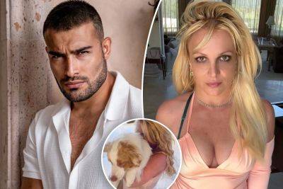 Britney Spears refusing to let Sam Asghari keep dogs amid divorce: report - nypost.com - Australia - county Maui - county Sawyer