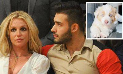 Britney Spears and Sam Asghari’s dogs are reportedly the most ‘difficult’ asset in divorce - us.hola.com - county Maui - Germany