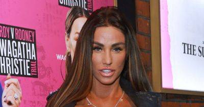 Katie Price's surrogate 'changes mind' on carrying star's baby after being 'disrespected' - www.dailyrecord.co.uk