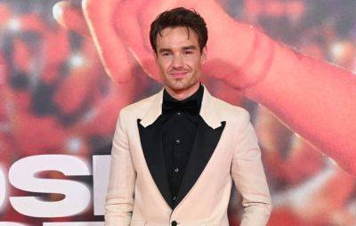 Liam Payne postpones South American tour due to “serious kidney infection” - www.nme.com - USA