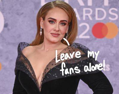 Adele Stops Mid-Performance At Las Vegas Residency To Defend Fan From Security Guard! - perezhilton.com - Las Vegas