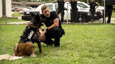 ‘Muzzle’ Exclusive Trailer: Aaron Eckhart & His Dog Are Out For Revenge In Upcoming Action Film - theplaylist.net