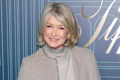 Martha Stewart Catches Flack For Capturing A ‘Small Iceberg’ For Cocktail Ice - etcanada.com - Greenland