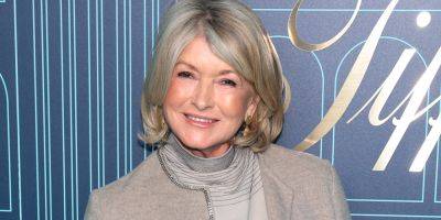 Martha Stewart Called Out By Fans For 'Capturing' An Iceberg For Cruise Cocktails - www.justjared.com - Greenland