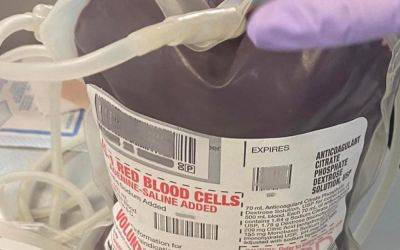American Red Cross to Allow Gay Men to Donate Blood - thegavoice.com - Los Angeles - USA - county Cross