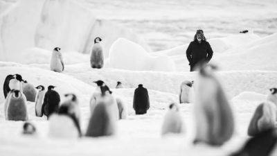 ‘Antarctica Calling’ Review: Luc Jacquet’s Latest Feels Like a Feature-Length Selfie, with the South Pole Over His Shoulder - variety.com - France - USA - Antarctica