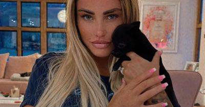 Katie Price buys new puppy after deaths of seven other pets - www.ok.co.uk - Germany