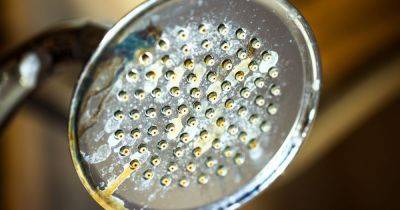'Quicker' method to 'dissolve' limescale on shower head without baking soda - www.dailyrecord.co.uk - Scotland