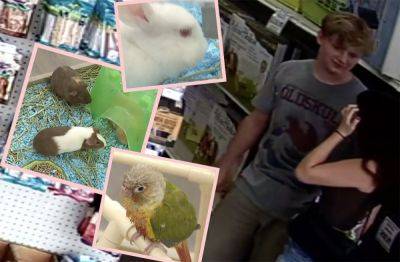 Teen Goes On Animal Killing Spree In Oklahoma Pet Store - perezhilton.com - Oklahoma - Tennessee - city Oklahoma City