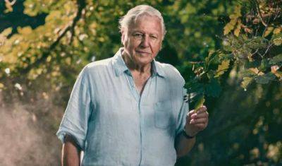 The Attenborough Effect: 97-Year-Old Presenter Has Already Begun Filming Planet Earth Series 3 - deadline.com