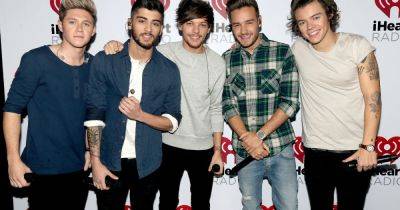 One Direction stars now from 'serious' health battle to family tragedies - www.ok.co.uk - Britain - New York
