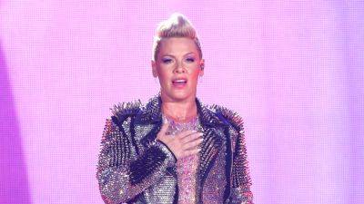 Pink Tells Security to Remove Concertgoer for Protesting Circumcision in Front Row at Her Show - www.justjared.com