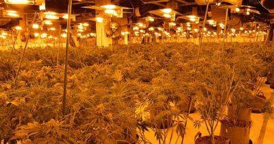 The HUGE drugs farm uncovered in the middle of a former M&S - www.manchestereveningnews.co.uk - county Garden - Albania - county Spencer