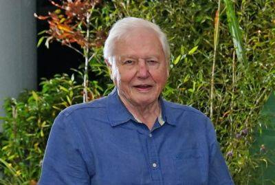 Sir David Attenborough Returning To Narrate Third ‘Planet Earth’ Series At Age 97 - etcanada.com - Britain