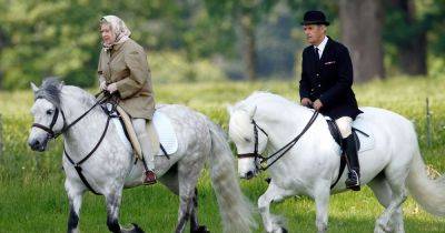 Queen's beloved pets now - from living with shamed son to winning at Ascot races - www.ok.co.uk - city Sandy