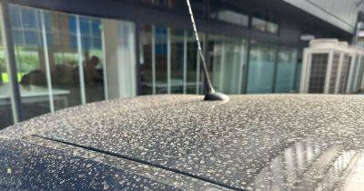 Met Office explains why your car is so dirty this morning after it rained overnight - www.manchestereveningnews.co.uk - Britain - Manchester
