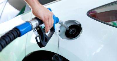 Petrol and diesel car owners warned against putting certain product in vehicle - www.dailyrecord.co.uk
