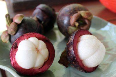 FACT: Mangosteens are the Most Delicious Fruit in the World - travelsofadam.com - Thailand