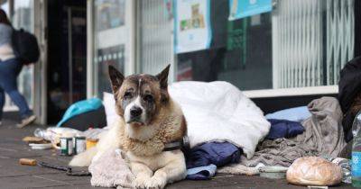Urgent plans to stop homeless people being separated from pets over fears for mental health - www.dailyrecord.co.uk - Scotland