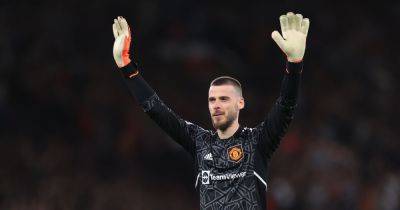 Former Manchester United star David de Gea's perfect response after being trolled by fan - www.manchestereveningnews.co.uk - Manchester