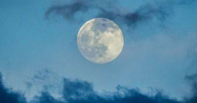 Weekly Horoscope: First full moon of 2024 to bring 'mistakes, distractions and surprises' - www.manchestereveningnews.co.uk