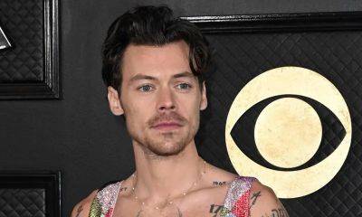 Harry Styles fans left excited and impressed as new photo shows remarkable hair growth - us.hola.com