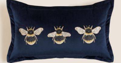 'Beautiful' M&S velvet embroidered cushion 'feels luxurious' and offers back support - www.dailyrecord.co.uk