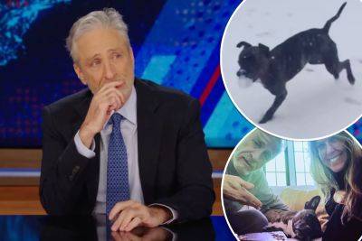 Jon Stewart tearfully announces death of his dog Dipper on ‘The Daily Show’ - nypost.com - New York - Pakistan - city Brooklyn
